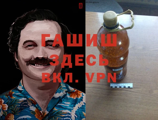 индика Вязьма