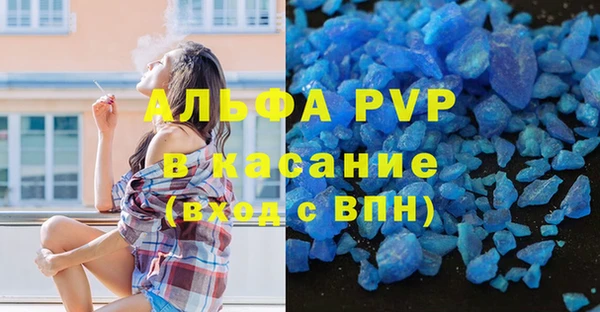 индика Вязьма